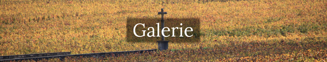 Galerie